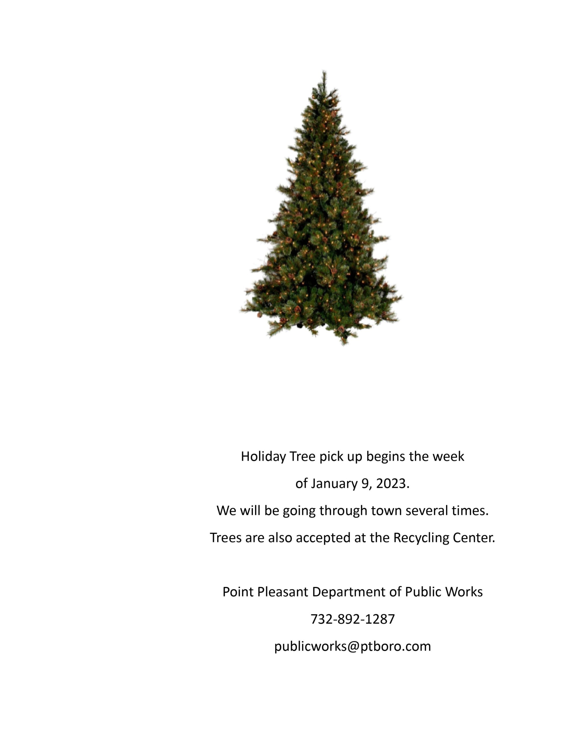 Christmas Tree Pickup Scheduled - Borough of Point Pleasant