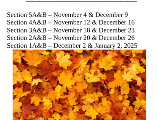 Autumn/Winter 2024 Leaf Collection Schedule